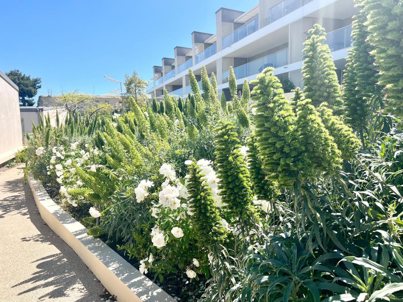 Panoramic Sea View Appartment Blue Pearl Niza Exterior foto